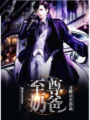 至尊奶爸