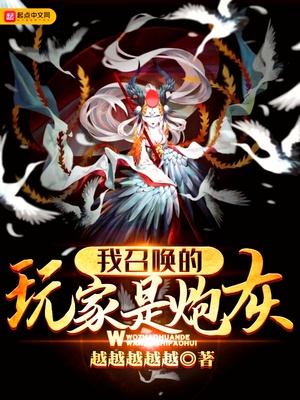 我召唤了玩家txt