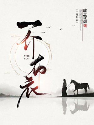 一介布衣全文免费阅读