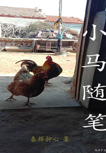 小马日记50字