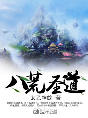 八荒圣道TXT下载