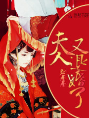 报告，夫人又退婚了