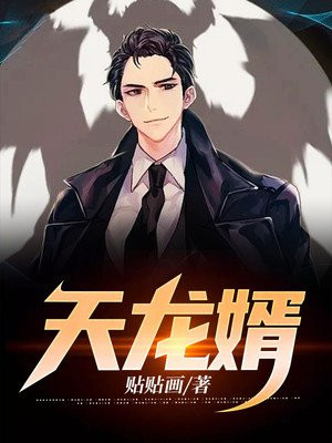 天龙婿