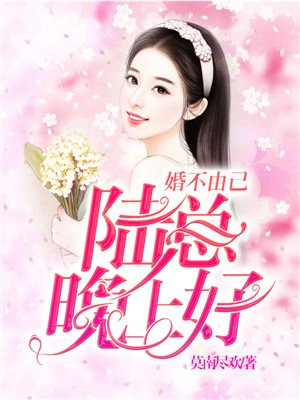 婚不由己:陆总晚上好!