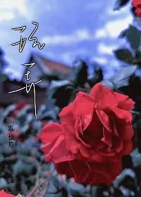 玩弄