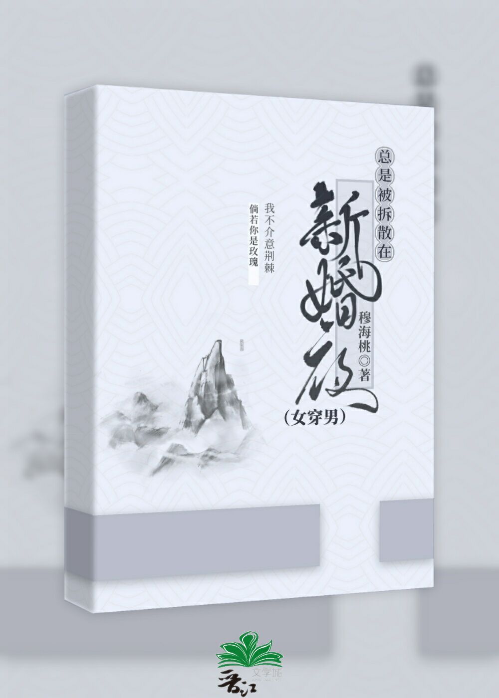 总是被拆散在新婚夜(女穿男)