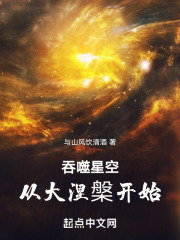 吞噬星空:从大涅槃开始