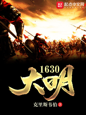 大明1630TXT下载