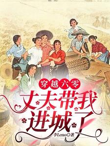穿越六零:丈夫带我进城了