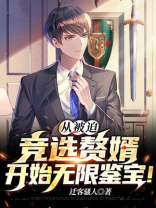 从被迫竞选赘婿开始无限鉴宝!