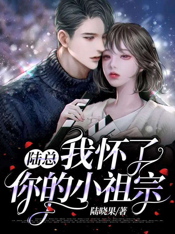 陆总,我怀了你的小祖宗