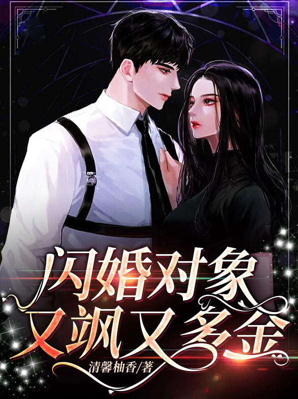 闪婚对象是总裁的小说
