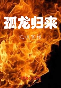 孤龙归来