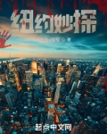 纽约妙探