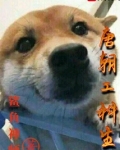 唐朝工科生