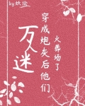 万人迷穿为炮灰后他们火葬场了（快穿）