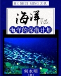海洋：海洋的深潜计划