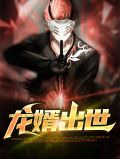 龙婿出世